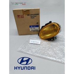 Complete Yellow Left Fog...