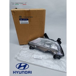 Complete Left Fog Light...