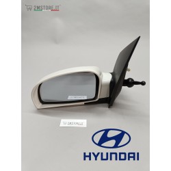 Complete Rearview Wing...