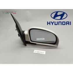 Complete Rearview Wing...