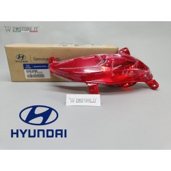 Complete Rear RightFog Lamp...