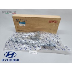 Alzavetro Anteriore...