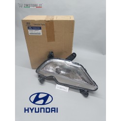 Complete Right Fog Light...