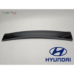 Pannello Parasole Frontale...