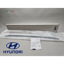 Rear Bumper Protector...