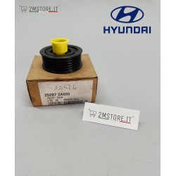 Rullo Tenditore Cinghia...