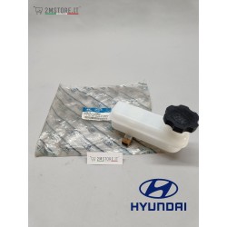 Master Cilinder Brake Oil...