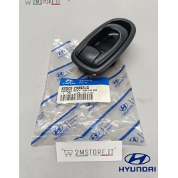 Maniglia Interna Porta...