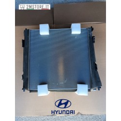 Radioatore Motore Originale...