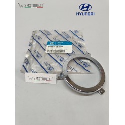 Modanatura Fendinebbia...