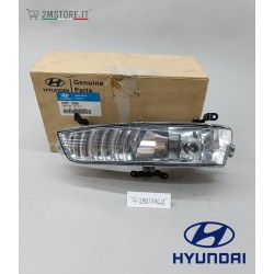 Front Left Fog Light...