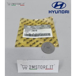 Shim Exhauste Valve Plate...