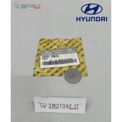 Shim Exhauste Valve Plate...