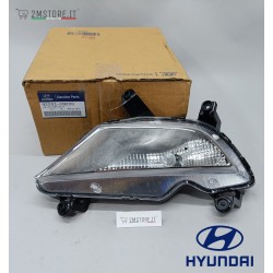 Fendinebbia Fanale Completo...