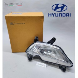 Complete Right Fog Light...