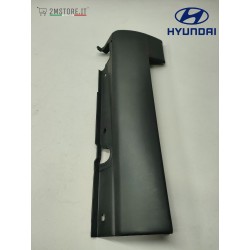 Front Left Door Sills Trim...