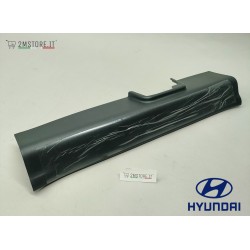 Left Trunk Trim Pannel...