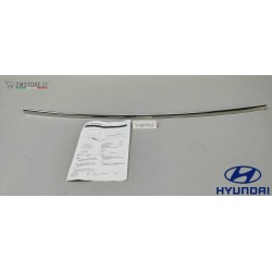 Rear Bumper Design Trim...