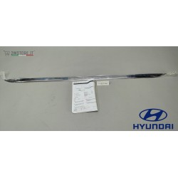 Rear Trunk Moulding Trim...