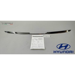 Profilo Cromato Bagaliaio...