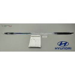 Profilo Cromato Bagaliaio...