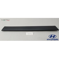 Modanatura Porta Anteriore...