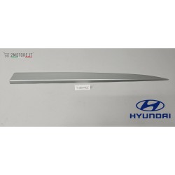 Front Right Door Trim...