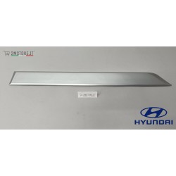 Rear Right Door Trim...