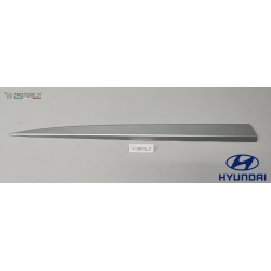 Modanatura Porta Anteriore...