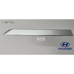 Modanatura Porta Posteriore...