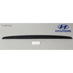 Front Bumper Grille...