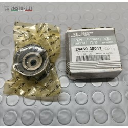 Puleggia Tendicinghia...