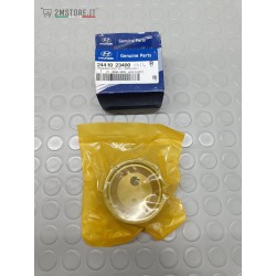 Rullo Tenditore Cinghia...