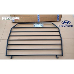 Trunk Interior Divider...