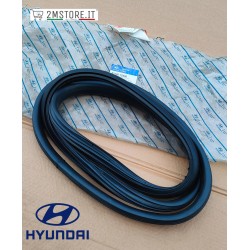 Guarnizione Porta Portiera...