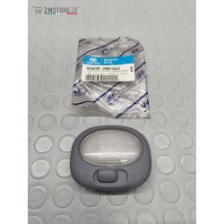 Luce Cortesia Abitacolo...