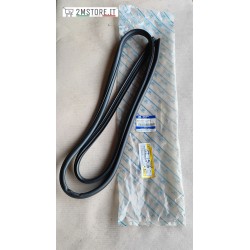 Front Right Door Rubber...