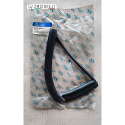 Guarnizione Vetro Lunotto...