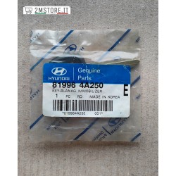 Blank Immobilizer...