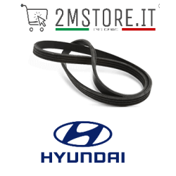 Cinghia Poly V 4PK960...