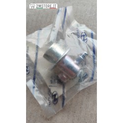 Fuel Pressure Regulator...