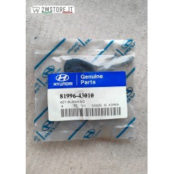 Blanking Key Vergin Key...