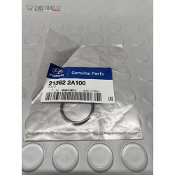 Timing Belt Carter O-Ring...