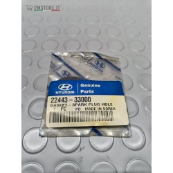 Guarnizione Foro Candela...