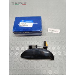 Maniglia Esterna Porta...