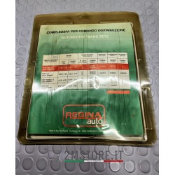 Complete Kit Timing Chain...