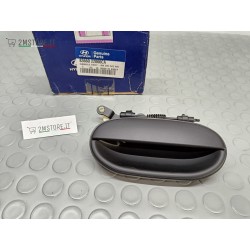 Maniglia Esterna Porta...