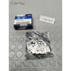 Catena Pompa Olio Originale...