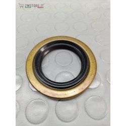 Paraolio Guarnizione...