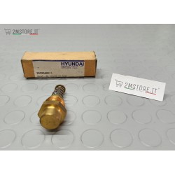 Valvola Bypass Radiatore...